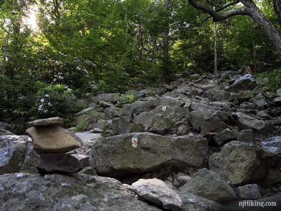 Rocky trail with painted trail markers.