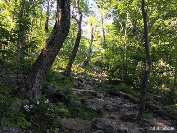 Rock filled trail heading uphill.