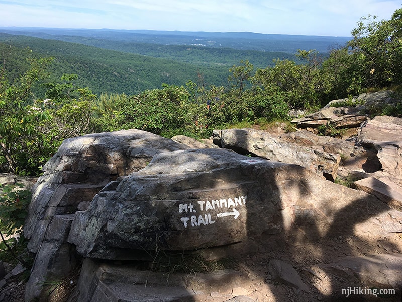 Mt. Tammany Delaware Water Gap