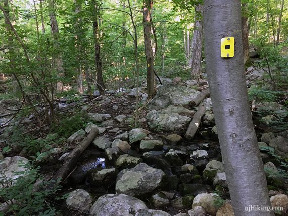 YELLOW with BLACK DOT connector trail to YELLOW