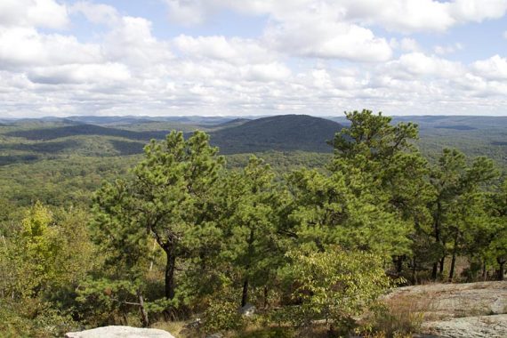 View from Wyanokie High Point.