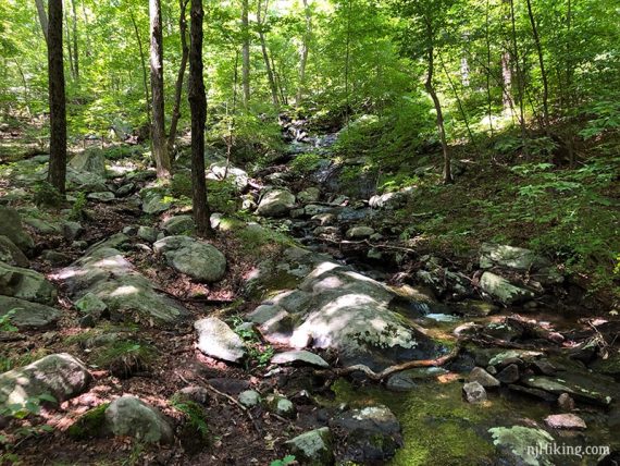 Stream crossing