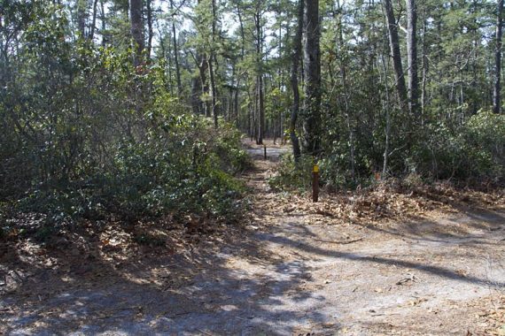 Trail and sand road junction.