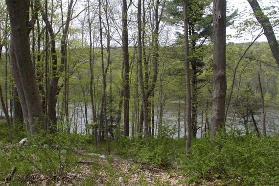 View of the Delaware River