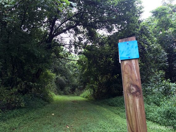 Square trail markers