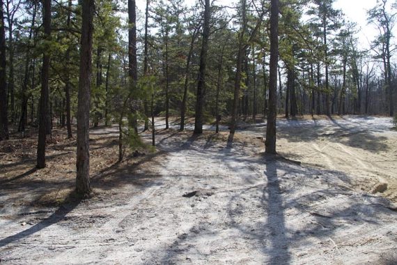 Sand trails at an intersection.