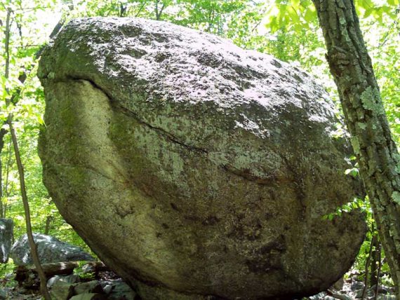 Whale Head Rock