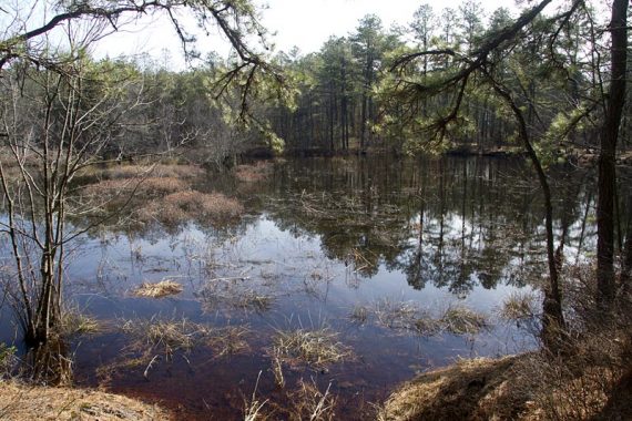 Mullica River