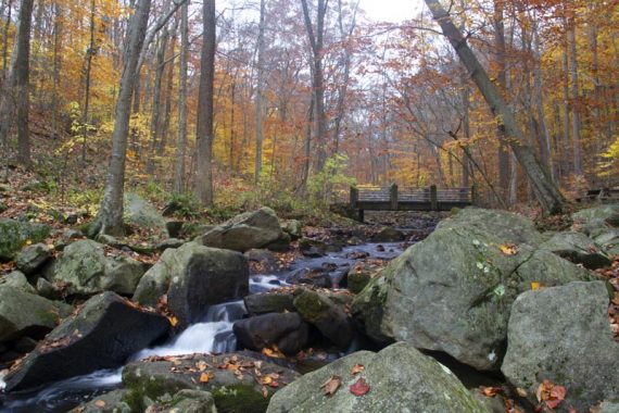 Footbridge in the distance with water tumbling over rocks in the foreground.