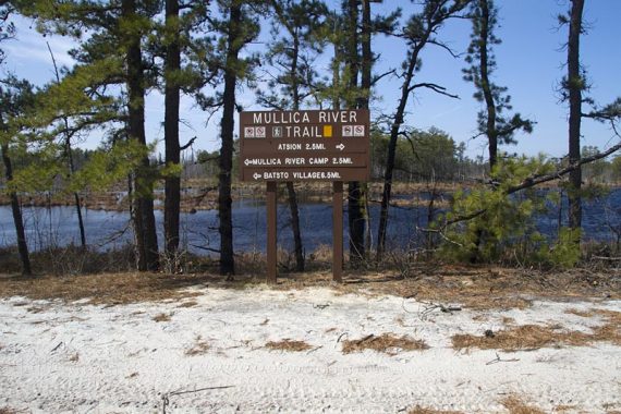 Trail sign near the Mullica River