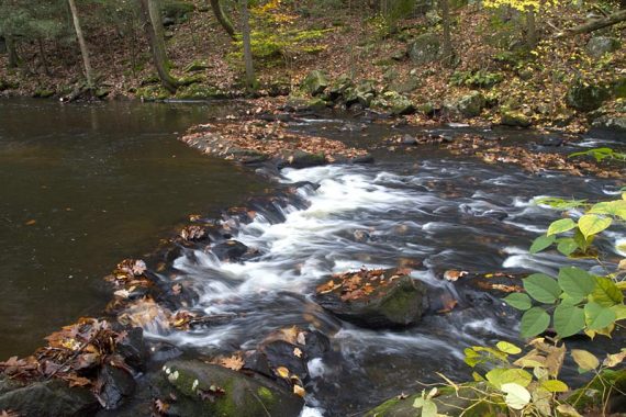 Stream rippling over rocks.