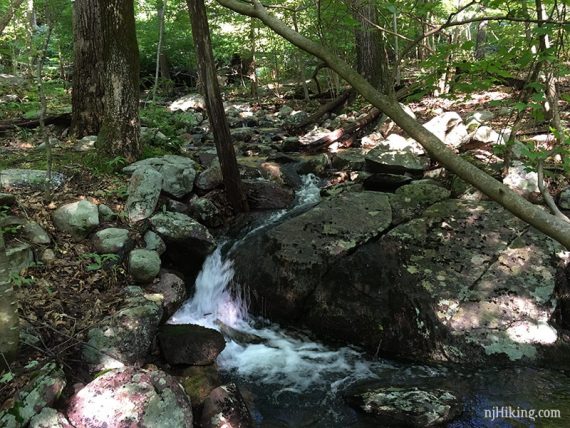 Cascade on Overlook Trail.