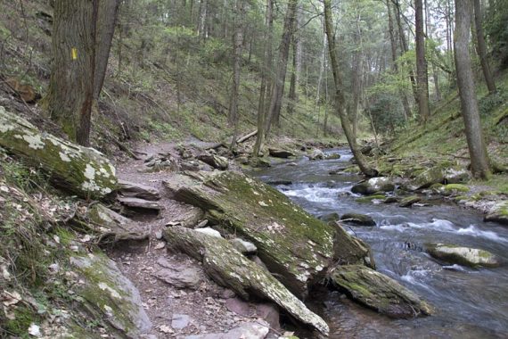 Van Campens Glen Trail (YELLOW)