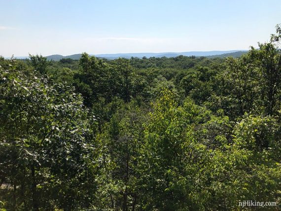 Hills in the distance with green forest in the foreground.