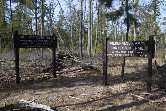 Mullica River and Wilderness Camps signs