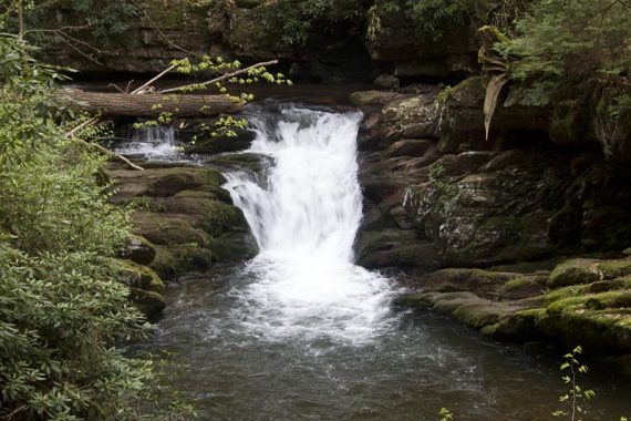 Cascade along the Van Campens Glen Trail