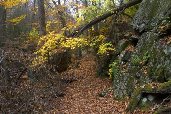 Trail between a stream and a tall rock face