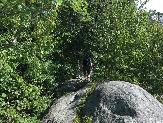 Hiker on rock slabs.