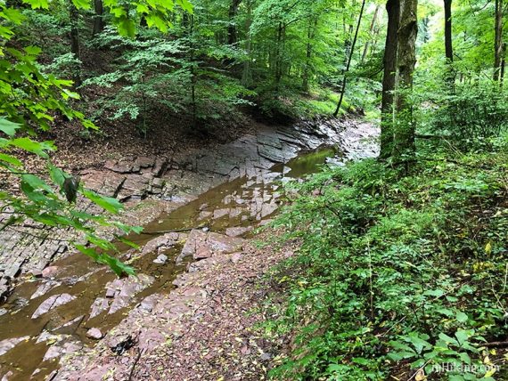 Rocky stream bed