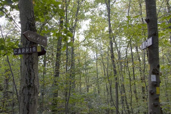 Signage at the end of the Carris Hill trail