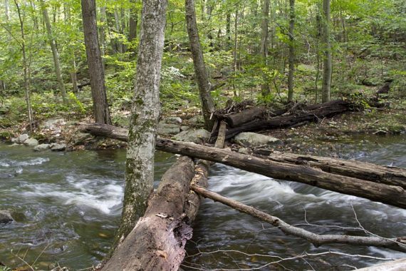 Optional stream crossing to get a front on view of Chikahoki Falls... watch the video to see