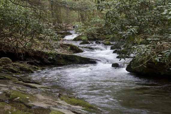 Van Campens Glen Trail