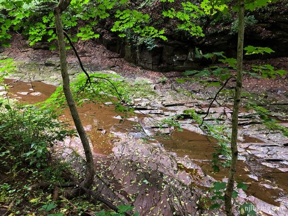 Flat rock along a stream bed