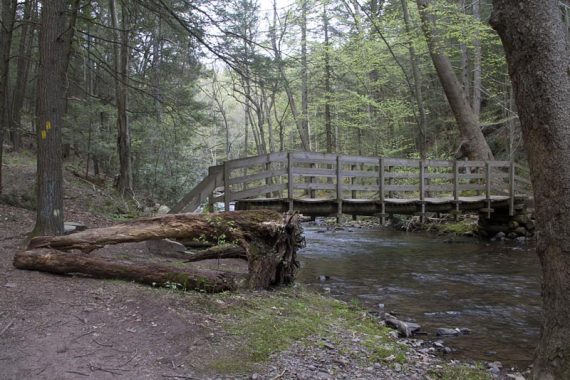 Van Campens Glen Trail