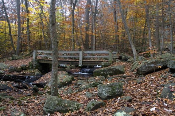 Wooden bridge over water cascades