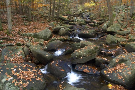 Water cascading over large rocks in a stream.