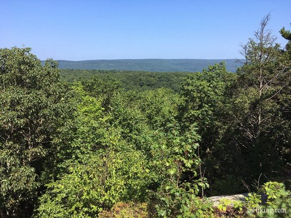 View west from the Overlook Rock trail.