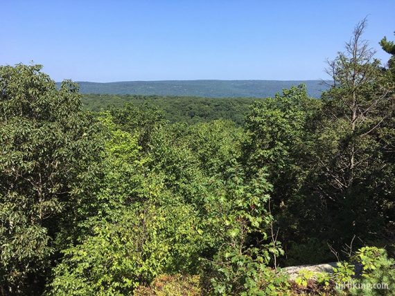 View west from the Overlook Rock trail