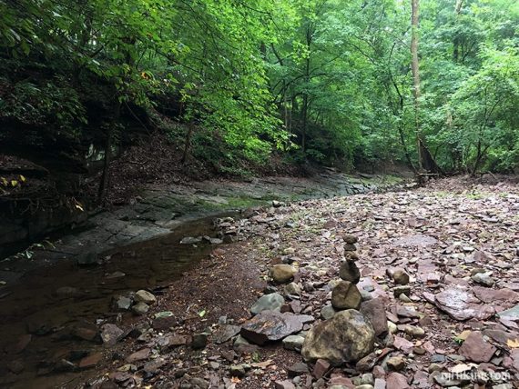 Fiddlers Creek rocky shore