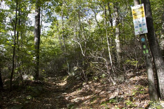 Turning onto Otter Hole trail