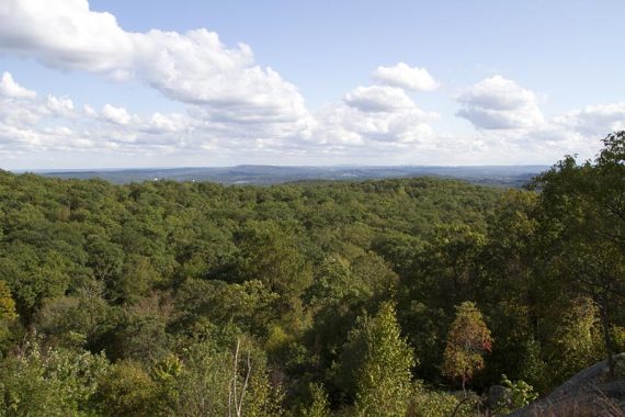 View from Buck Mountain on the Wyanokie Crest Trail