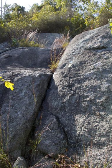 Scramble on Buck Mountain