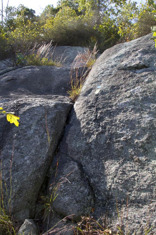 Scramble on Buck Mountain.