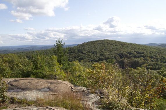 More views from Buck Mountain on the Wyanokie Crest Trail