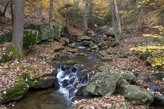 A rocky stream.