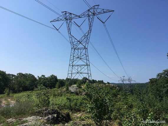 Large power tower and lines