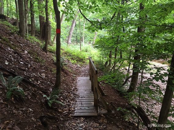 Wooden footbridge on the red trail