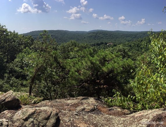 Green hills with pine trees and rocks in the foreground.