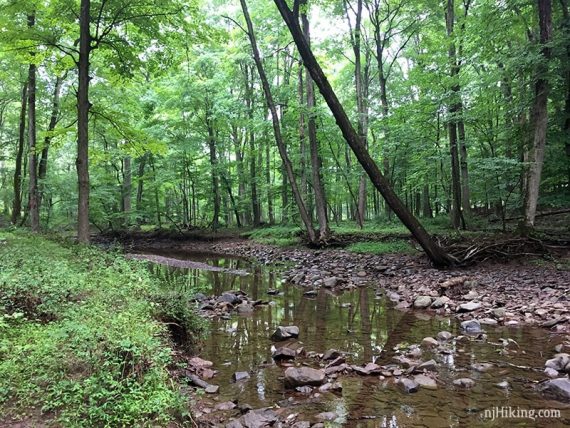 Trail continues along the creek