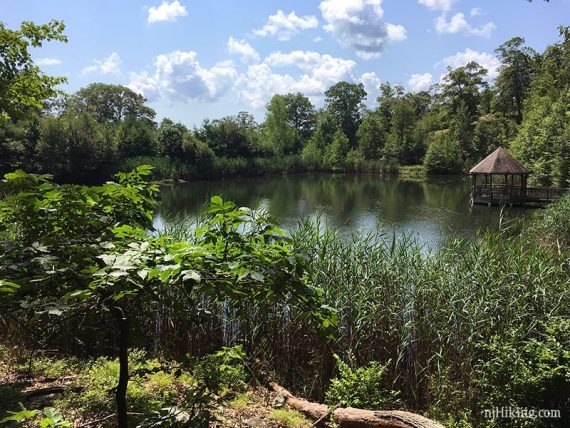 Pass a pond and gazebo on YELLOW Mantaticut.