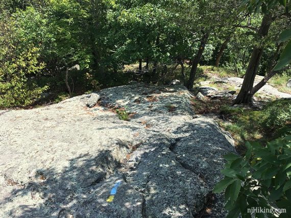 Trail markers on a rock slab.