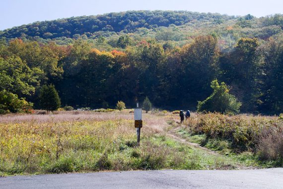 Path in the center of a field with two backpackers in front of a mountain