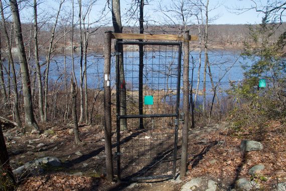 Gate through a deer fence.