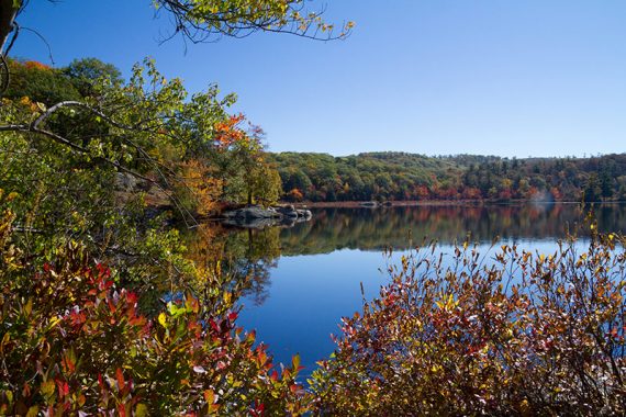 Bright fall foliage at the edge of Island Pond.