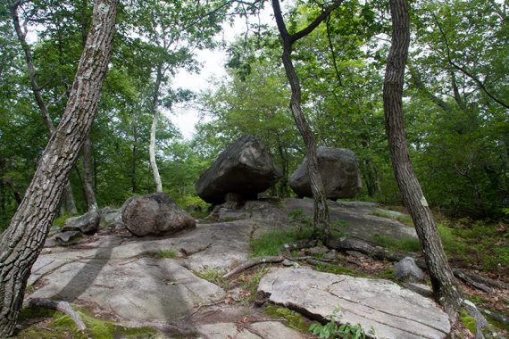 Small erratics near Tripod Rock