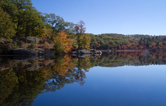 Rocky edge of a pond with foliage reflected in the water.